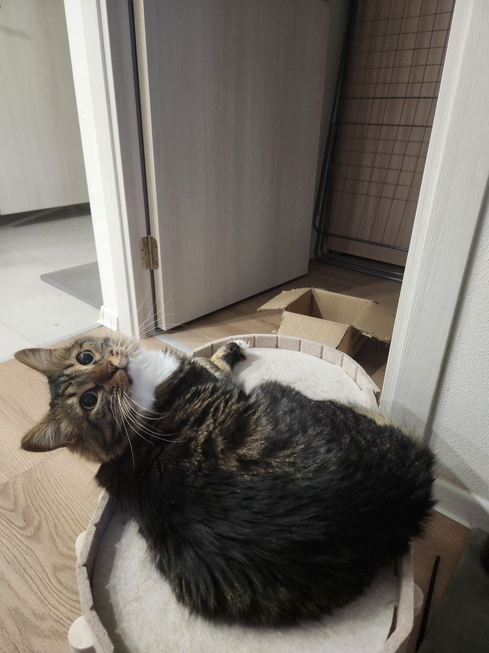 ���������� ������� #169