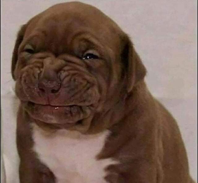 �������� ��� �� ���� ������� ��� ��, ����� � ��� ��� ��� �������. 😁