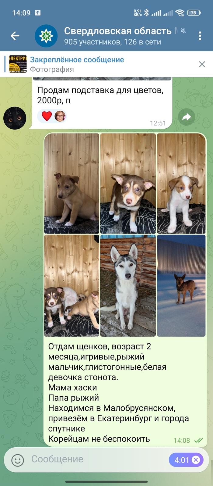 ���� ���� �����