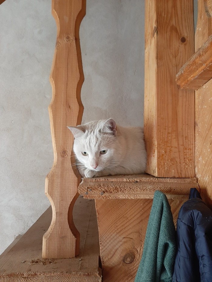 � ������� ����������, ��� ���� �� ����� ���� ������ �� ��������� ������ � � ���������