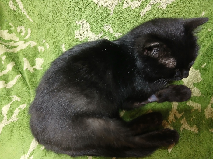 �����. ���