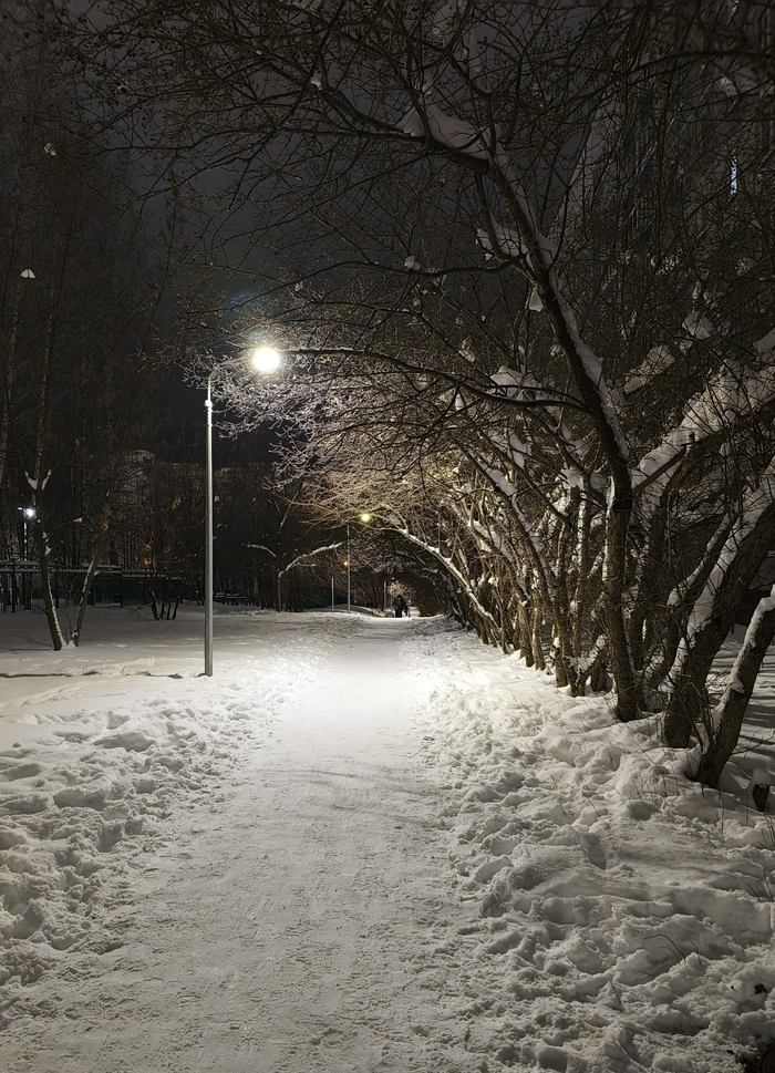 Просто фото зимнего вечера