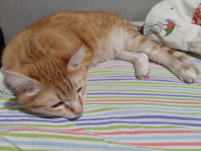 �������� ����� ������� �����