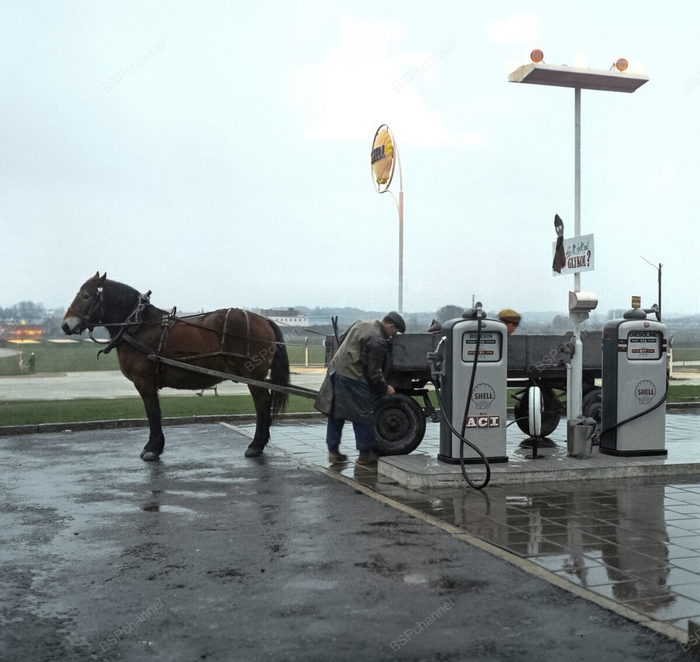 ��������: ����� �����