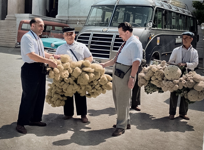 ��������: �������� �������