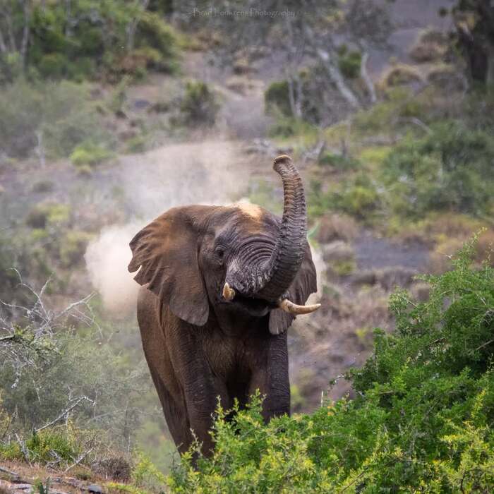 �������� ���