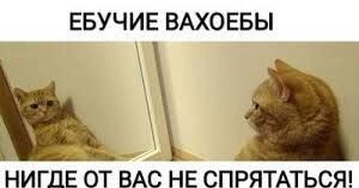 Пизда сносит мозг Пизда сносит мозг