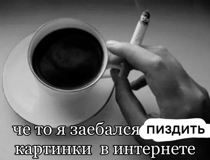 vcgcjw24.webp