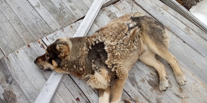 ������ � �������