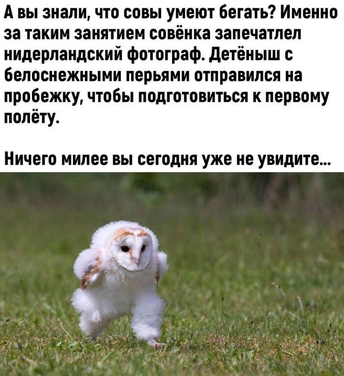 ��� ����� ������������ �� �����