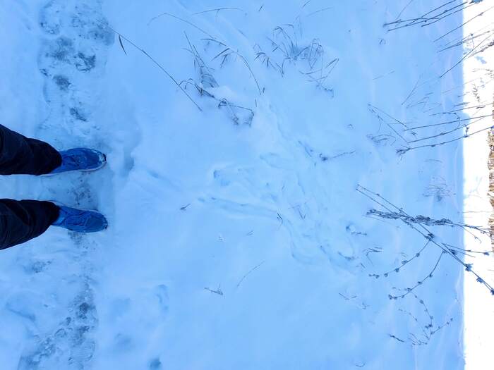 ��� ��� ����� � �����������. ��� � ����� ������ �� ������������ �����.