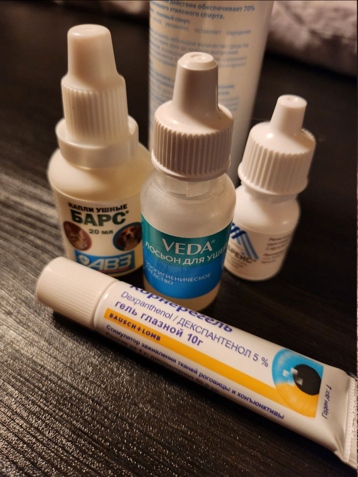 "Жентльменский" набор для лечения ушного клеща.