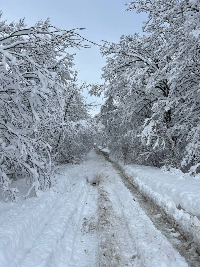 ������ ������