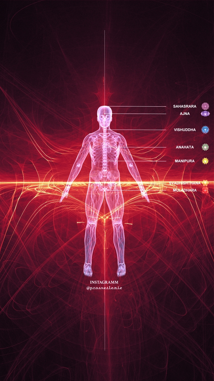 ������ ���������