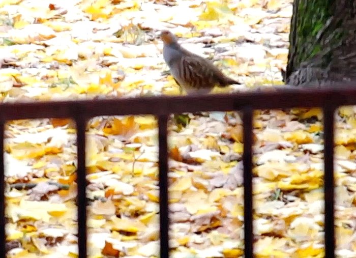 ���� �� �� ���� �����, �� �������� ���������� �� ����� �����. ��������� �� ���� ��������������� ����� ��� ��������� �� ���.