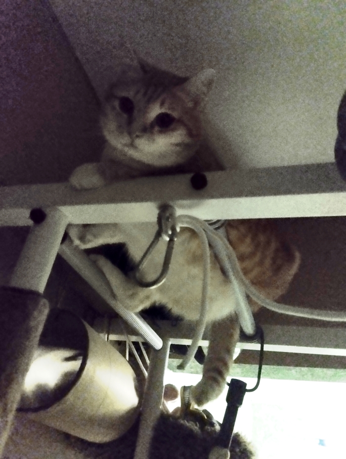 Нормааально!