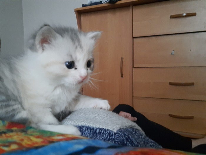 166 ���� ������� #116