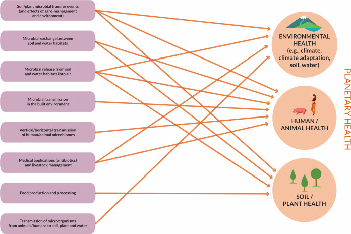 Филлосфера и т.п. рулят)