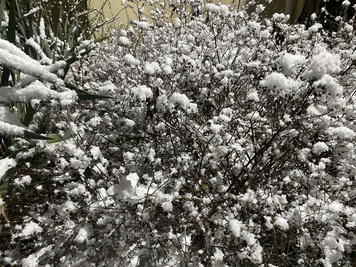 � � ����� ����� ����� ����