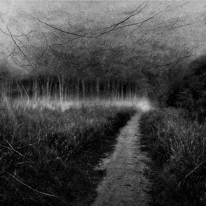 ��� ������ ������