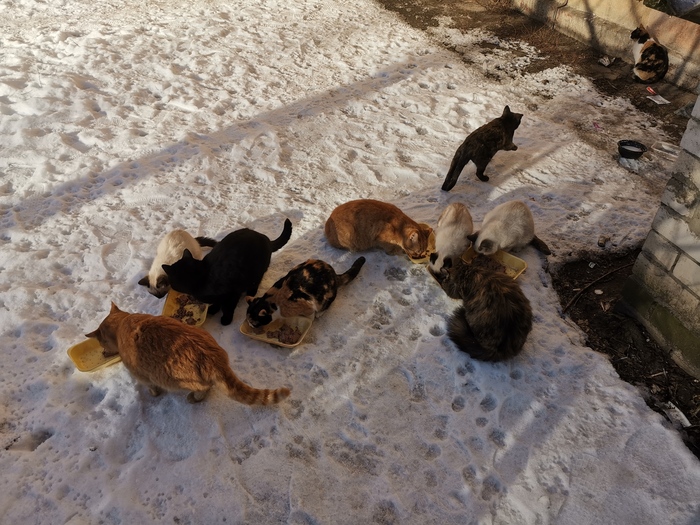 ���� ��������, ����� �������