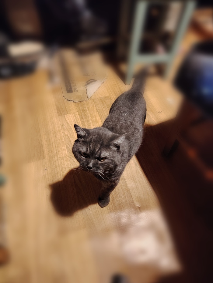 ����� �� ���� ���� ������ � �������. �����?�