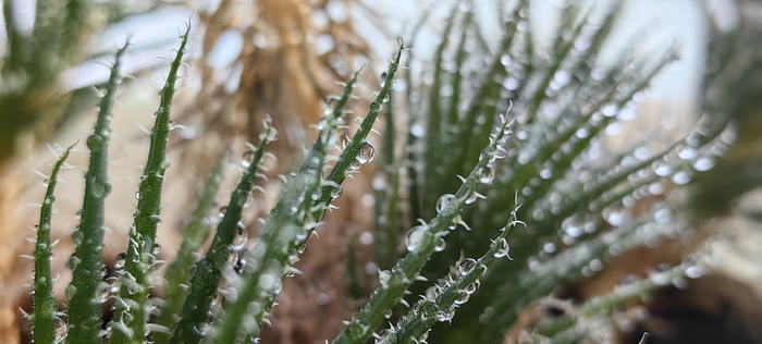 ��� ��������� � �����?