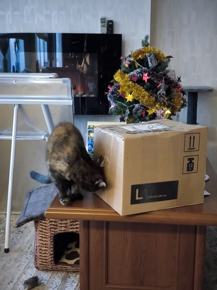 ������-����� ��� ������ ������� � ����, �� ��������� �� ���� �����������!