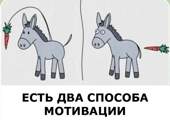 Очень сложный выбор