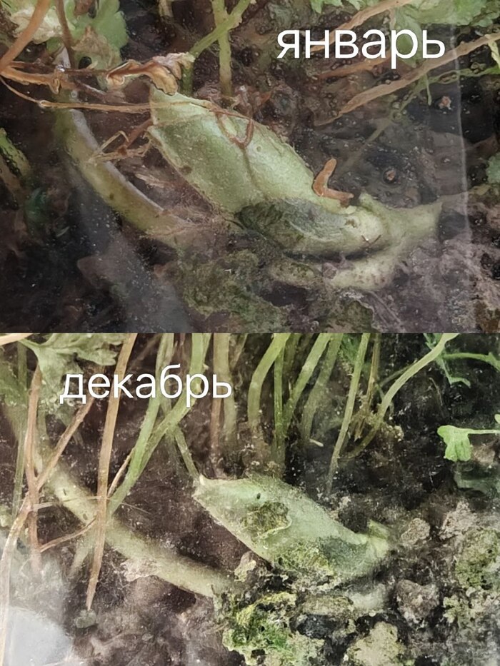 ��������� �������� ���� ������ � ������� �� �����. �����, ��� �� ��������� � �������� �� ������� ������� ��������� �������� ������ �����