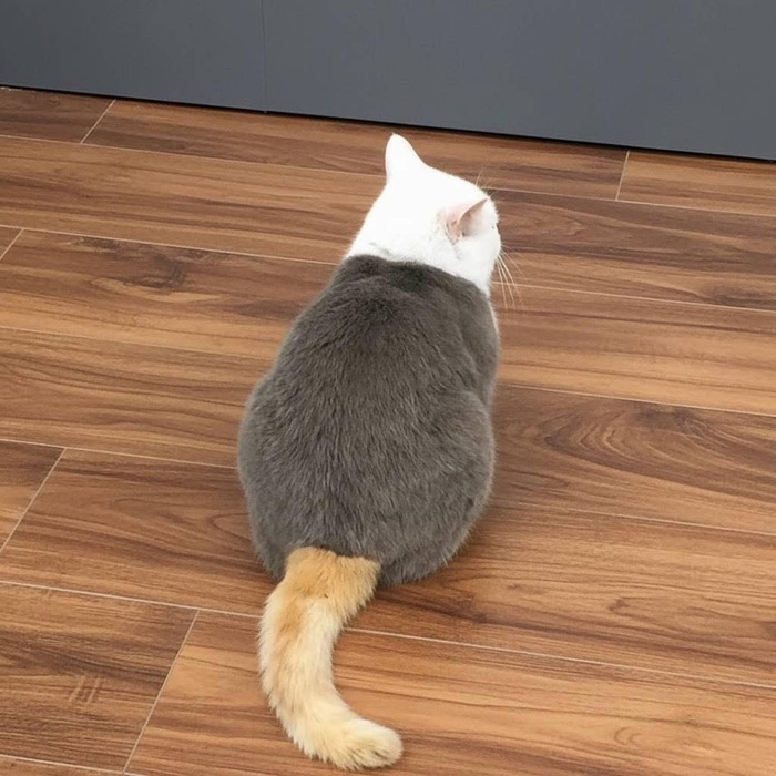 � ��� ������� �� ����, ��� ����