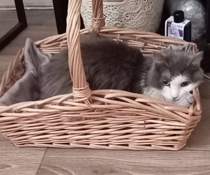 ���� ������ �� ���������!