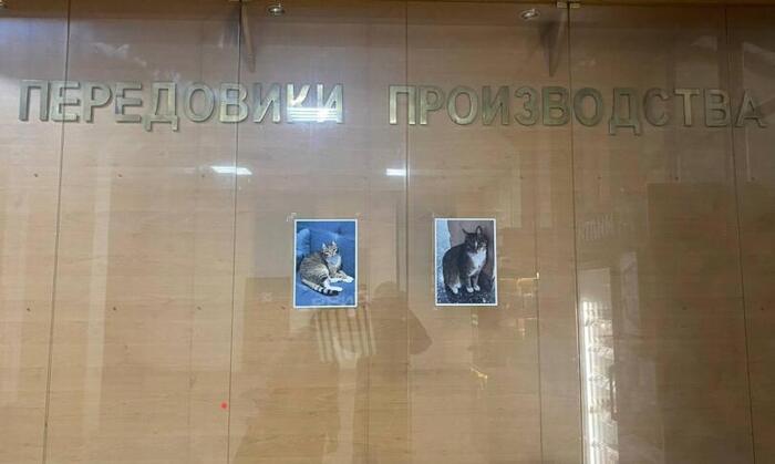 ���������� ���� ����� �� ������