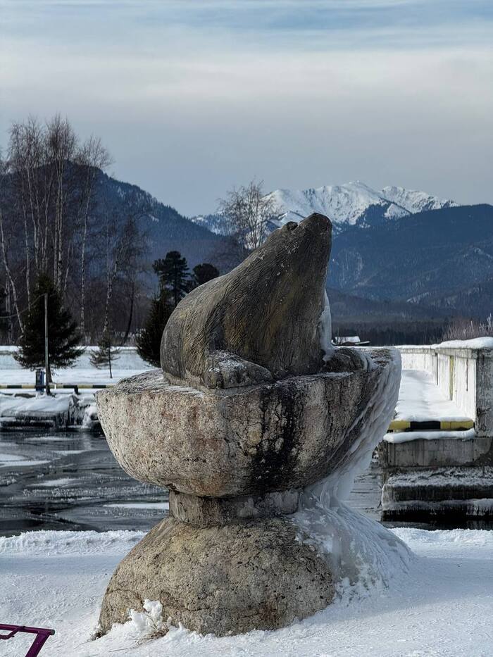 �������� ����������� �����