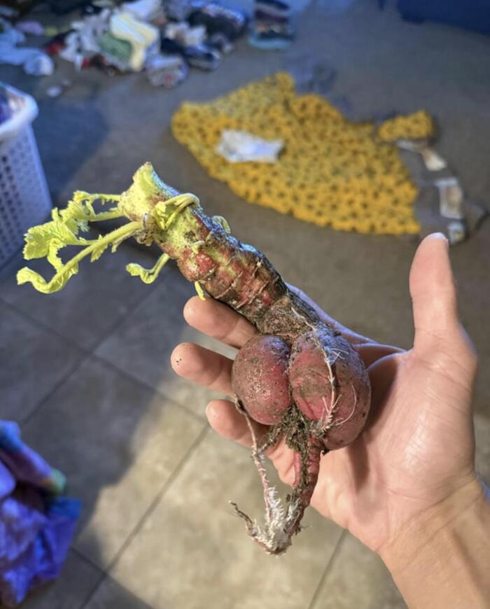 ����� � ����� �������� ���������