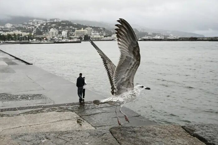 ��������� ��������������� �����, �������� �� 19 ������