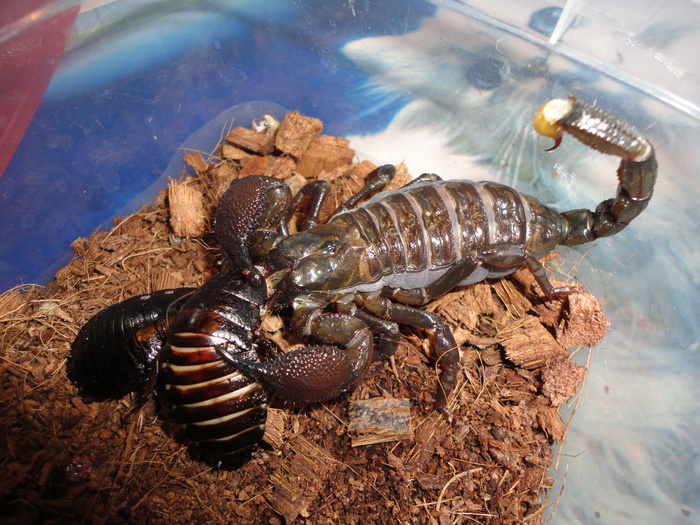 ������ �7, �� ����� ������, �� �� ���������.