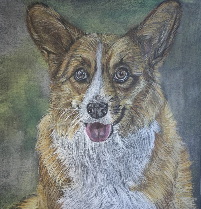 Портрет корги