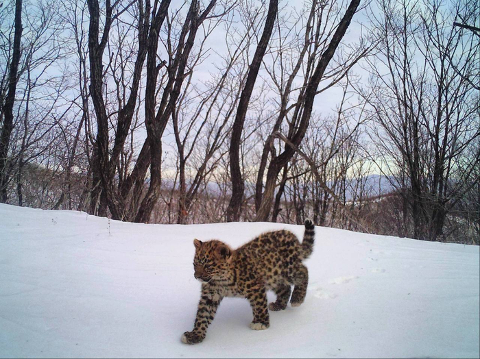 ���, ���, ����� ������� - � ������������� ������ ����.