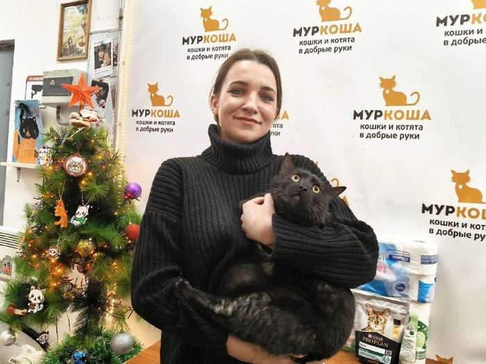 Кот Фартинг уехал из приюта домой 6 января 2026 года.