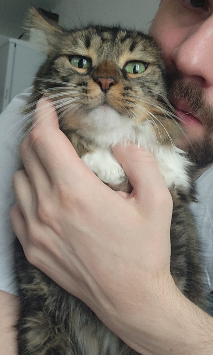 ���������� ������� #172