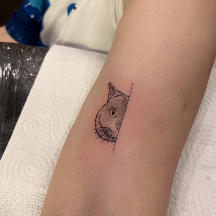 ������ ����