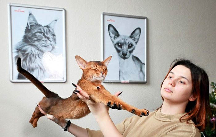 ����������� ��� �� ������ ������ ���� ������ ���� � ��� ��������� ����� ���������. ��� ����� ������ ����� � ��������� �������� ����� �������� ����� ����, ������ � �������� ������� ������ ����������� �� ������ �����.//����: ��������� ���������/��� �������