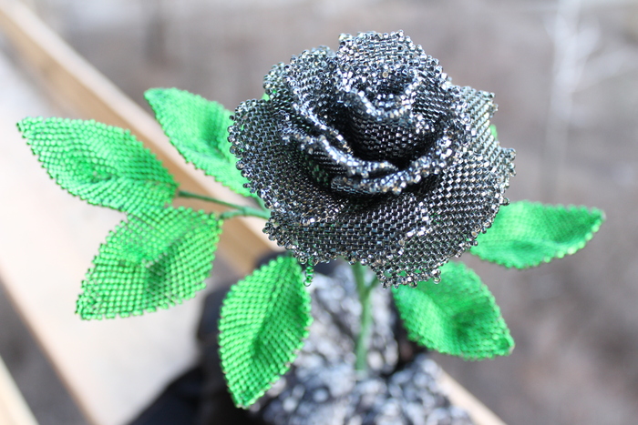 ��� ��� ������ ����, �������� ���������!