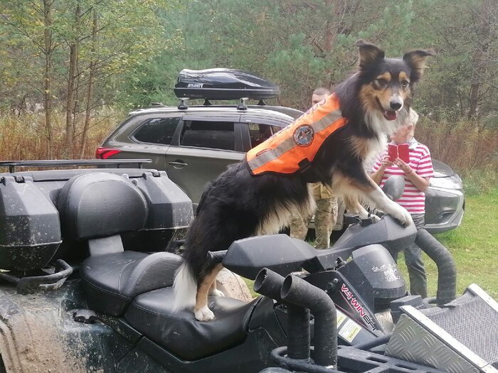 ������. ������-���������, ��������� ������ ����� � ��������� �����.