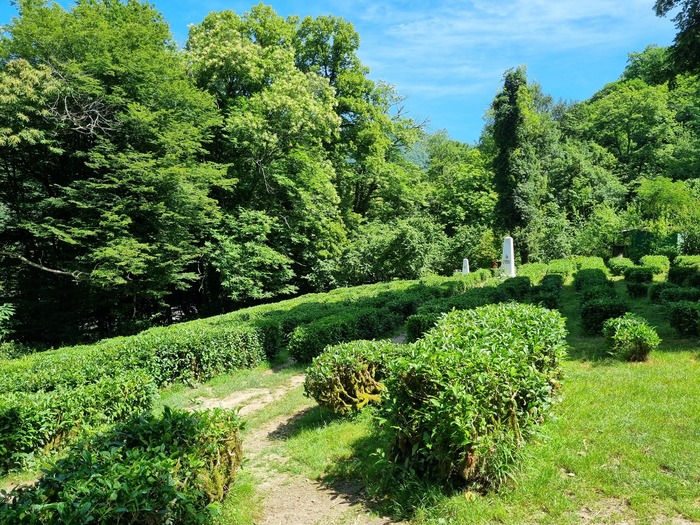 ������������ &nbsp;������ ��������� �������������� ���, ���������� �.�. �������� � ���� ��������, 2024 ���. ���� �������� �.�.