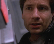 ��������� ���������