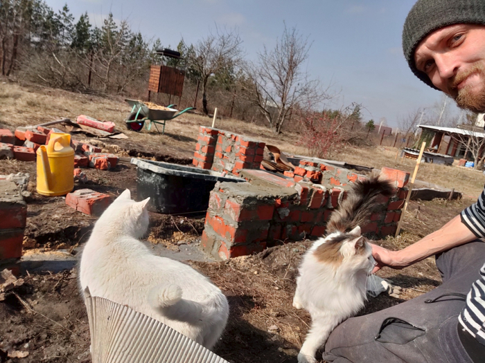 ������� � �������� ������ ����������������� ������� ��������