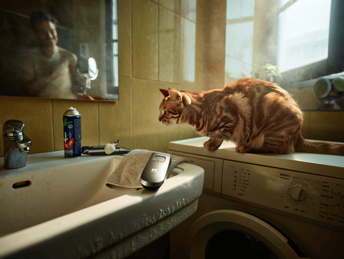 ������� ������ ������������ 2026: ���-20 ������� ��� ������� ������ ��� �����������