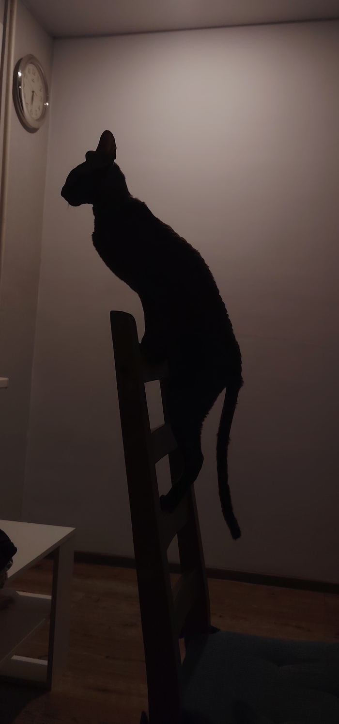 ��� ��� �����)